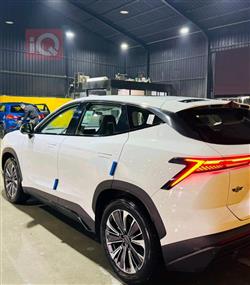 جيتور داشينج